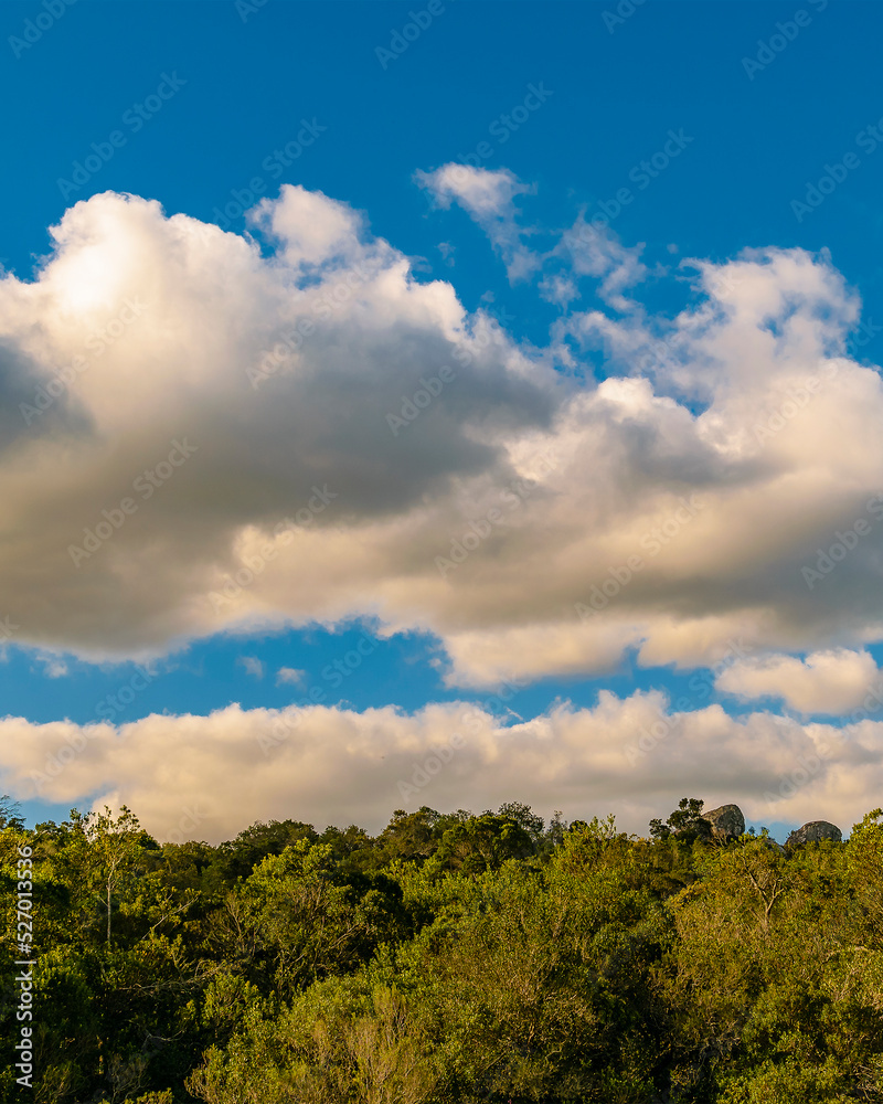 Meadow landscape scene Meadow landscape scene