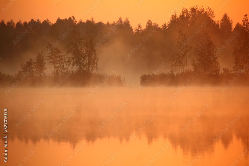 Fototapeta premium Landscape with fogs during sunrise at dawn with trees and river early in the morning