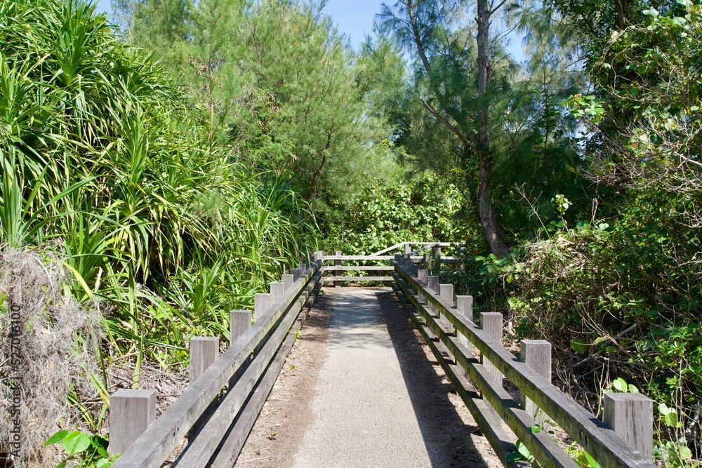 Walkway in the woods on Miyako Island