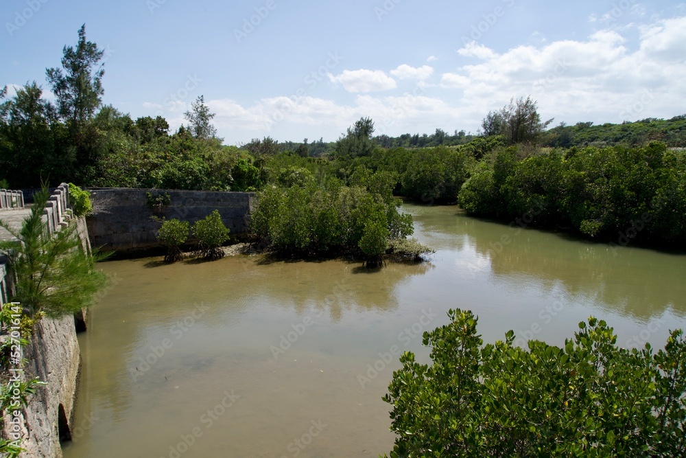 Obraz premium The view of Shimajiri Irie Bridge and mangrove forest 