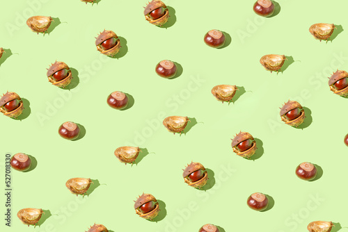 Creative pattern made of chestnuts on sunlit green pastel background. Nature consept. Falll and autumn theme photo