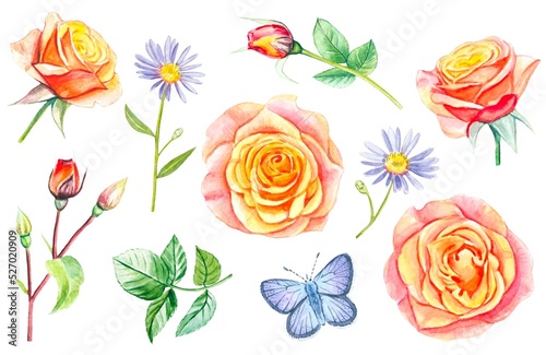 Set of yellow roses and leaves. hand drawn watercolor illustration