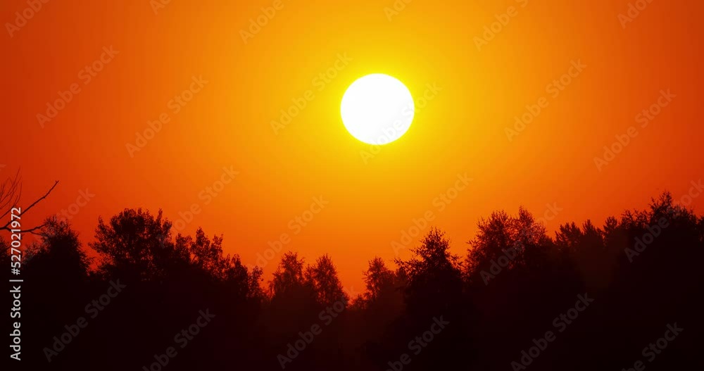 Sonnenaufgang im Wald. Timelapse.