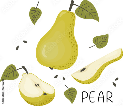 Set of green pear, pear halves, slices, seeds and leaves. Vector illustration in a flat style.
