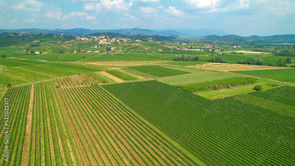 AERIAL: Beautiful wine country with vineyards and speckled small villages