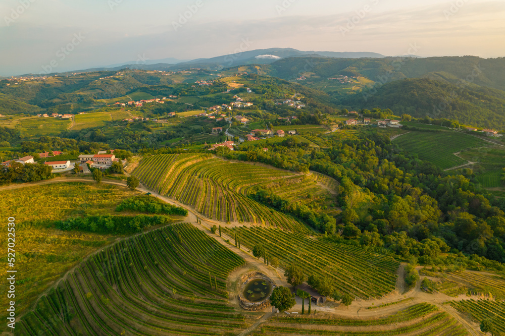 AERIAL: Picturesque wine region with vineyards and scattered small villages