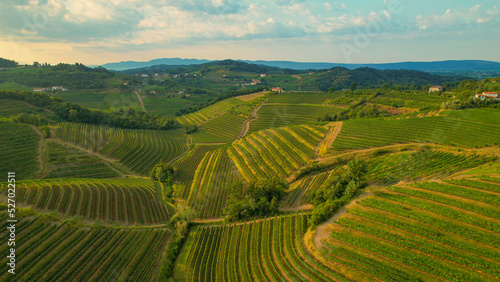 AERIAL: Beautiful cultivated wine region with vineyards and speckled farm houses