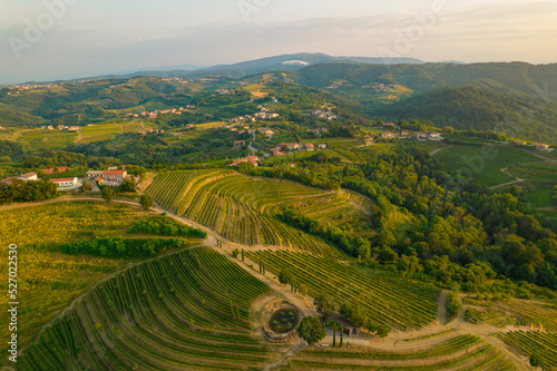 AERIAL: Picturesque wine region with vineyards and scattered small villages