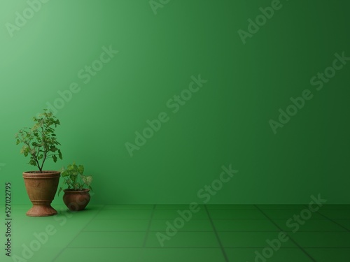 Minimal green wall and floor with tree port interior background