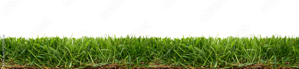 Fresh short green grass isolated against a flat background