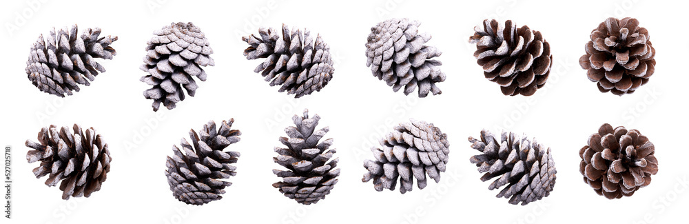 A collection of small pinecones with snow and frost on them for Christmas tree decoration isolated against a transparent background.