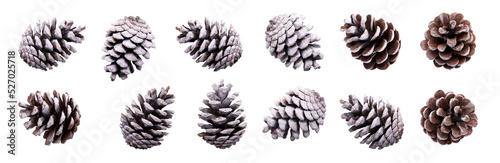 A collection of small pinecones with snow and frost on them for Christmas tree decoration isolated against a transparent background.