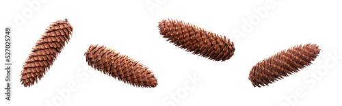Obraz na płótnie A collection of large, long open pinecones for Christmas tree decoration isolated against a flat background. w salonie