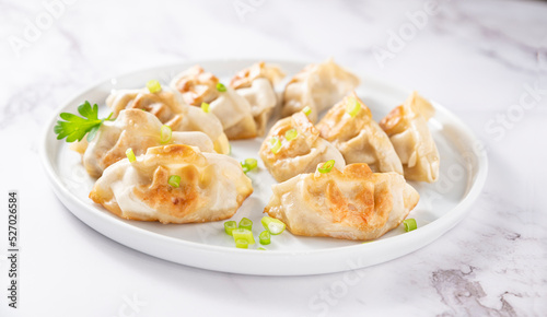 Fried dumplings . Gyoza. Healthy eating and young spring green onions. Asian food. Traditional asian Gyozas on a light background. 