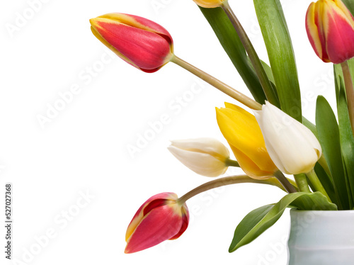 Obraz na płótnie A group of red, yellow and white tulip flowers and leaves in a vase isolated on a flat background. w salonie