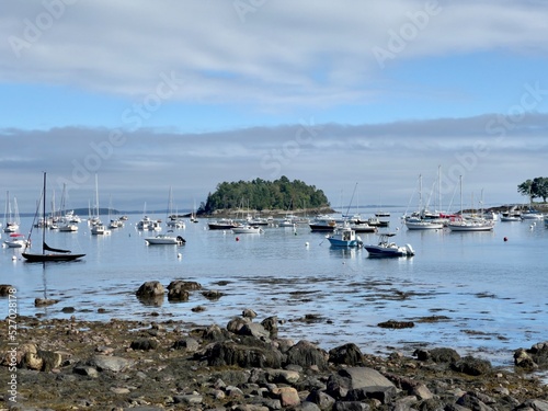 boats in the harbor