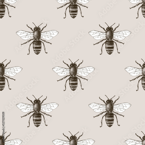 Seamless beige background with bees.