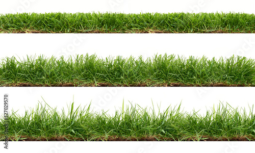A collection of real grass borders, short, medium and long grass edges isolated on a transparent background.