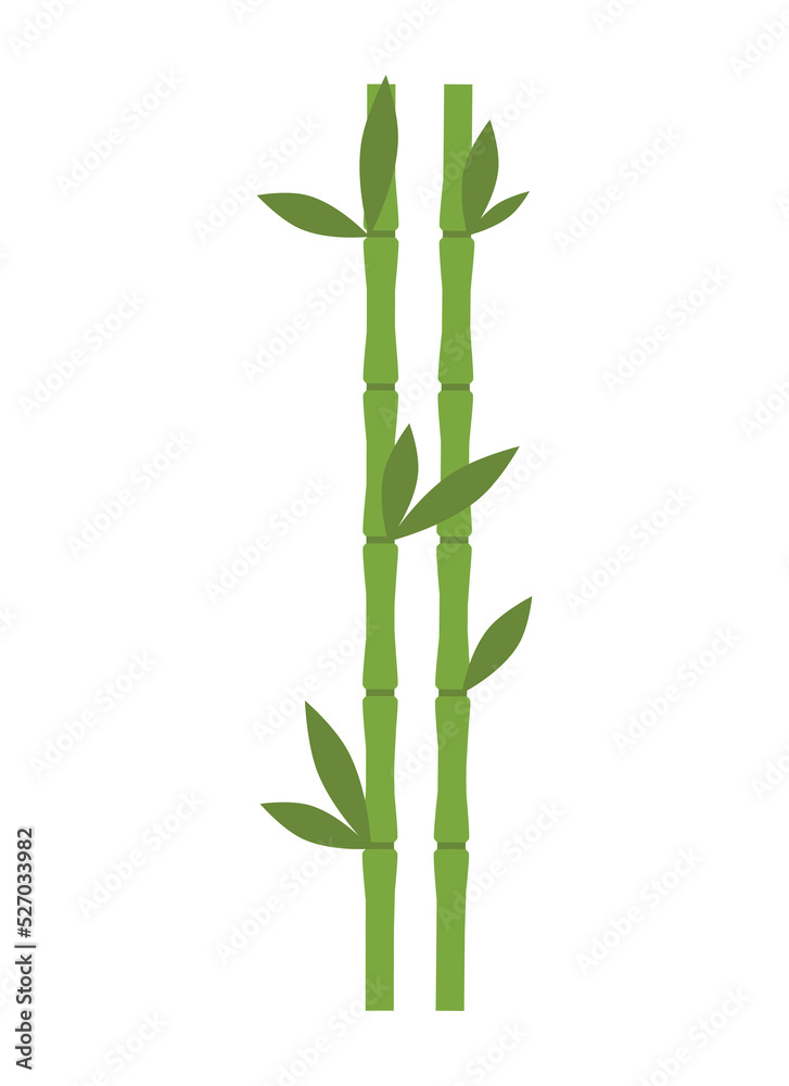 Fototapeta premium bamboo vector design illustration isolated on white background