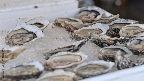 Fresh opened protein rich oyster on crushed ice at seafood restaurant or market. Selective focus. Healthy gourmet food with minerals. Natural aphrodisiacs
