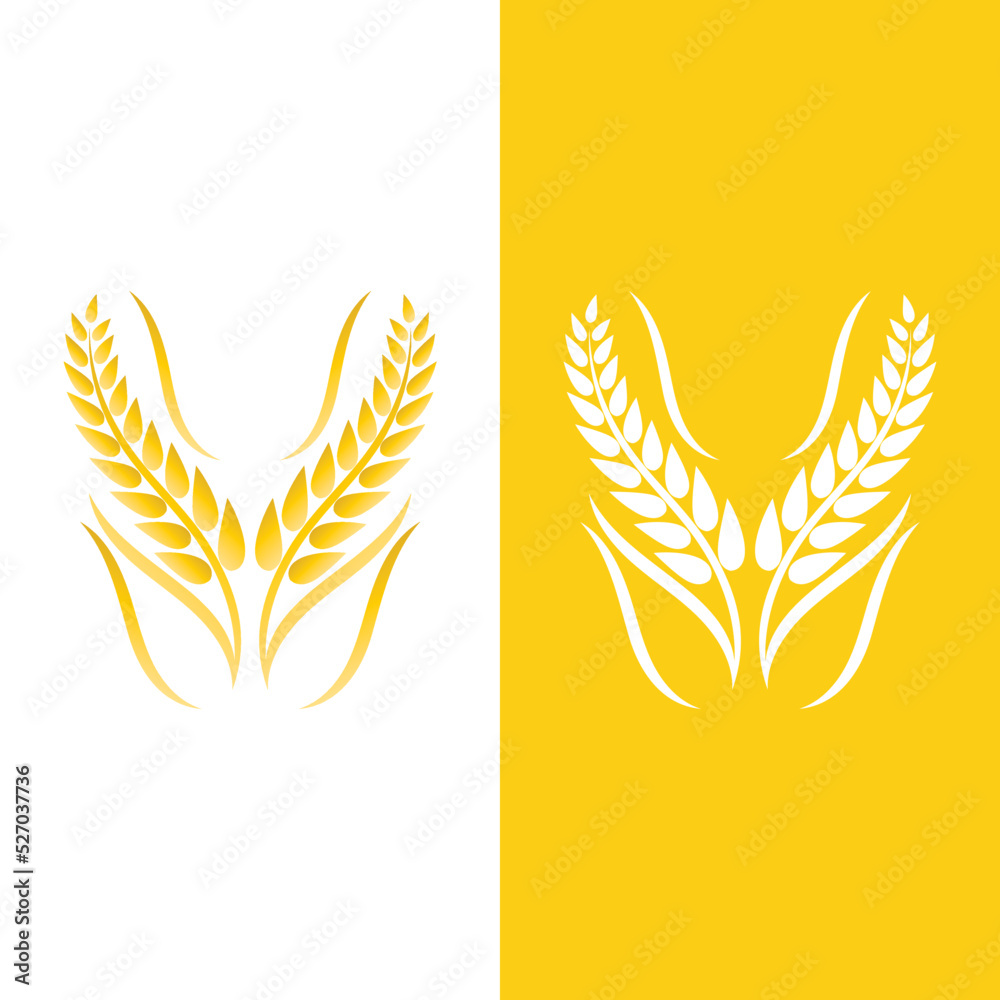 Agriculture wheat vector Agriculture wheat vector