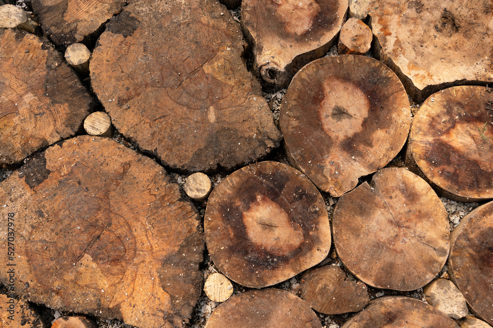 Background from trendy wooden fragments. Road surface made of round wooden sections. Landscaping. Background from trendy wooden fragments. Road surface made of round wooden sections. Landscaping.