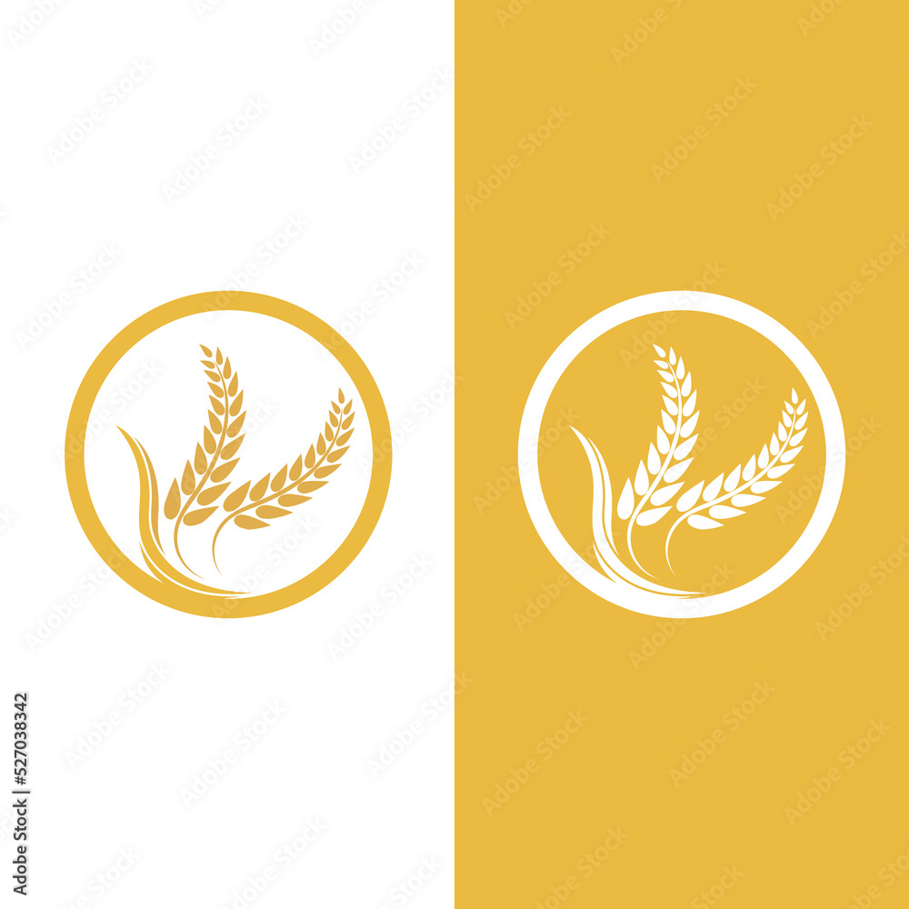 Agriculture wheat vector Agriculture wheat vector