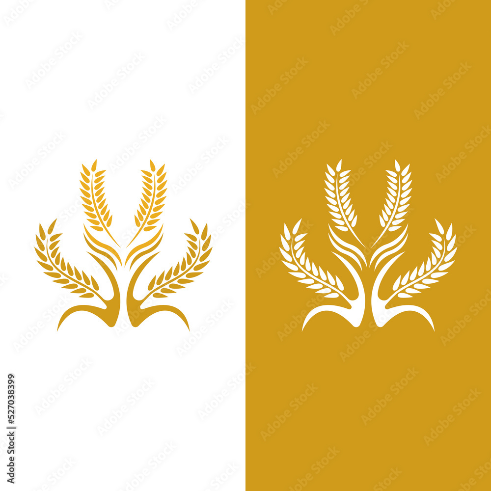 Agriculture wheat vector Agriculture wheat vector