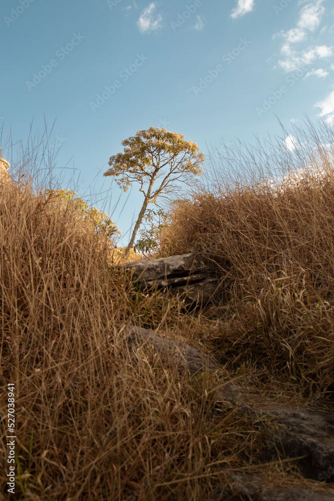 Fototapeta premium Paisagem do Cerrado mineiro na cidade de São Thomé das Letras, Minas Gerais