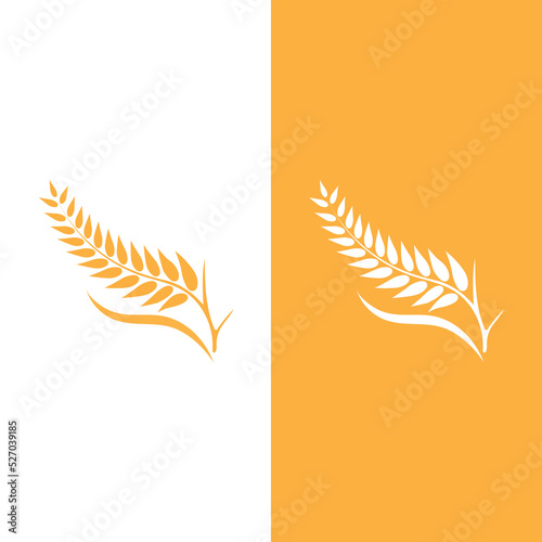 Agriculture wheat vector