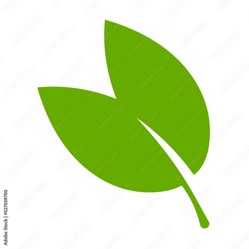 leaf icon
leaf icon