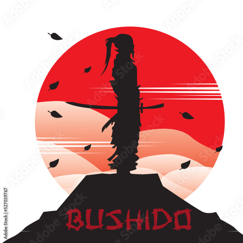 swordsman from japan, bushi sword fighter on moon background