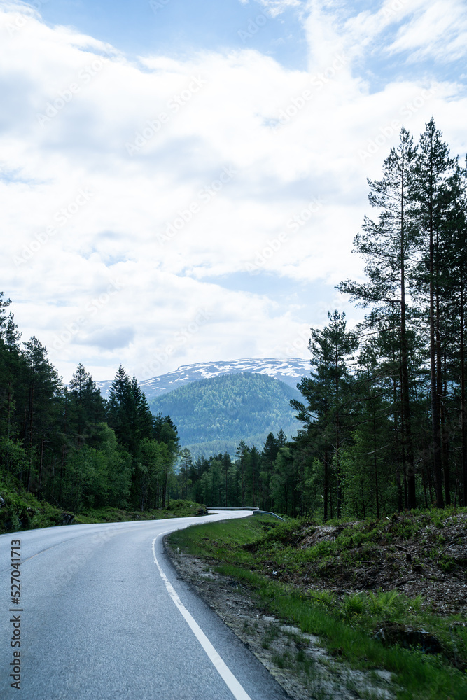 Landscape of a winding road through a forest with snow-capped mountains in the background. Landscape of a winding road through a forest with snow-capped mountains in the background.