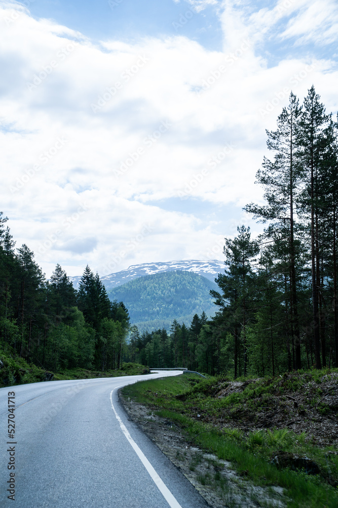 Landscape of a winding road through a forest with snow-capped mountains in the background.