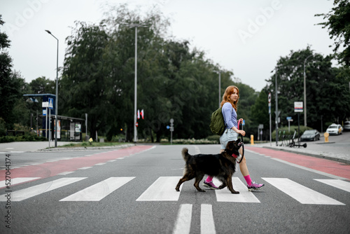 Beautiful woman with dog together crossing the street at crosswalk stripes