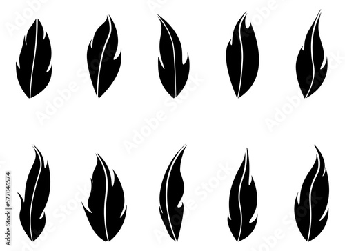 feather vector design illustration isolated on transparent background 