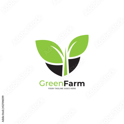 Sun rise over Leaves Logo design vector template. Alternative Energy concept. Eco organic green Farm natural fresh products Logotype icon.