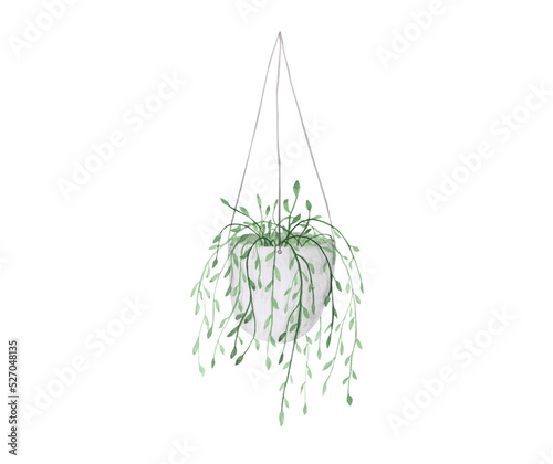 Bunch of rosemary. Green watercolor potted plant isolated on a transparent background. Hand-drawn hanging flower in a pot. Botanical illustration for your design. Greenery clipart. Home plant print. 