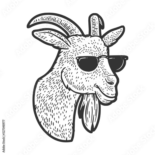 goat in sunglasses sketch engraving vector illustration. Scratch board imitation. Black and white hand drawn image.