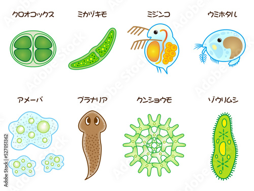 プランクトン・微生物のイラスト素材_ベクター