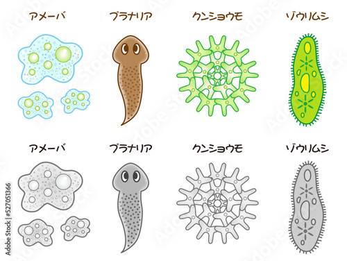 プランクトン・微生物のイラスト素材_ベクター2