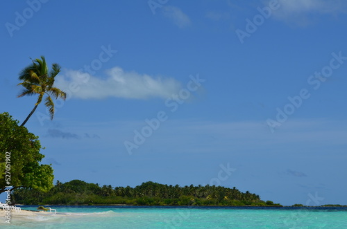 Beach loungers on paradisiacal island beach with palm tree