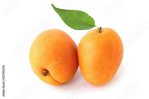 Two big flat apricots with leaf isolated on white