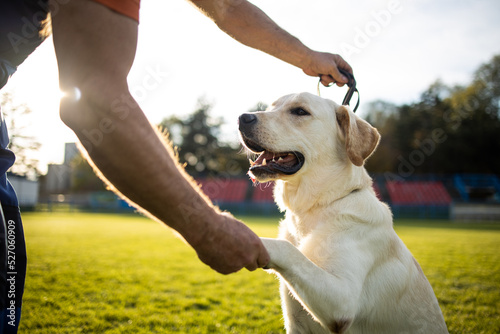 Time to study.Man training his dog.