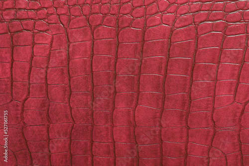 Crocodile bone skin texture background. Red Leather background and texture.