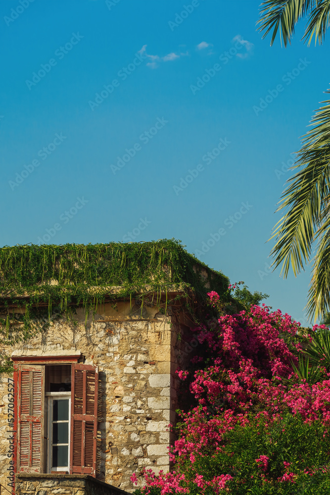 Stone built old house detail with decayed wooden window shutters and blossomed bougainvillea to the side, against blue sky