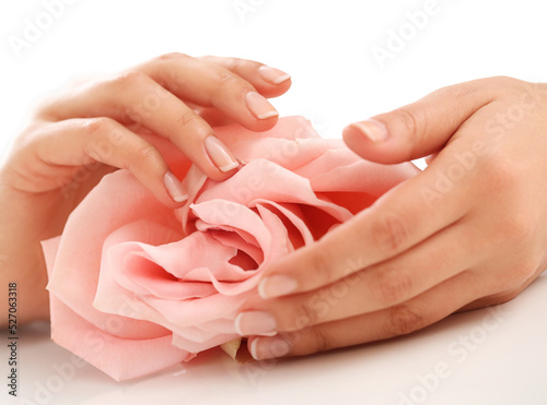 Women’s beautiful manicure hands holds pink rose