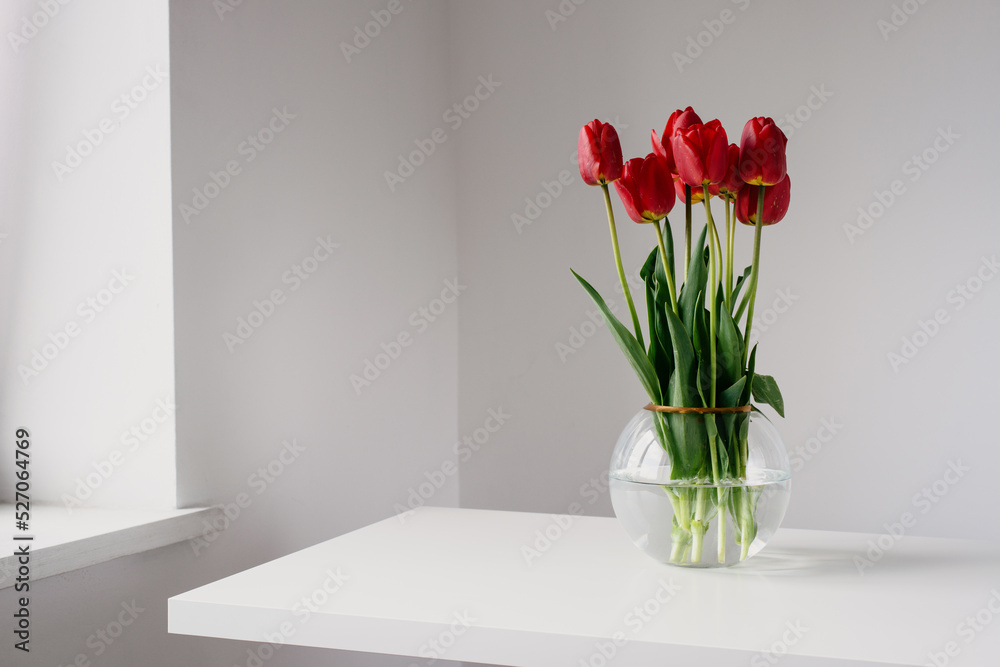 Photo of a wonderfull bouquet of red tulips on round glass vase in white modern minimalistic style in white interior daylight Photo of a wonderfull bouquet of red tulips on round glass vase in white modern minimalistic style in white interior daylight