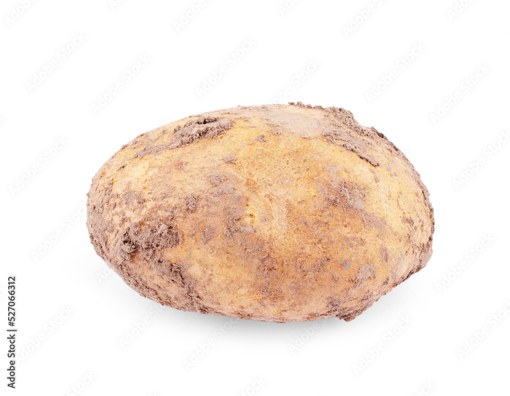 Close-up shot of raw potatoes on white background Close-up shot of raw potatoes on white background
