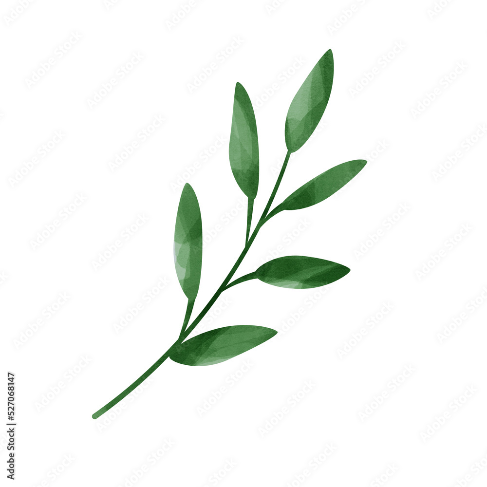 Obraz premium Green leaf watercolor